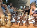Zdjęcie: 192