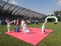 Zdjęcie: 317