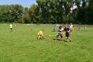 Zdjęcie: 48