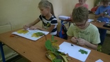 Zdjęcie: 9