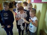 Zdjęcie: 16
