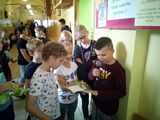 Zdjęcie: 17