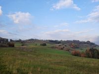 Zdjęcie: 46