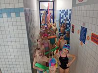 Zdjęcie: 4