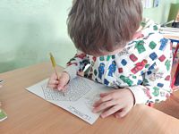 Zdjęcie: 41