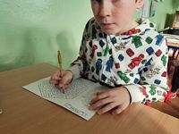 Zdjęcie: 42