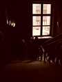 Zdjęcie: 109