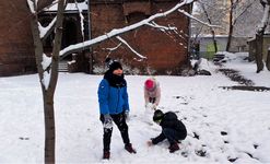 Zdjęcie: 21