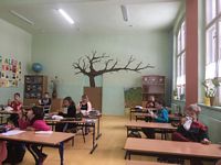 Zdjęcie: 4