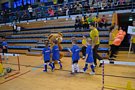 Zdjęcie: 5