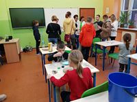 Zdjęcie: 130