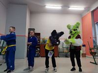 Zdjęcie: 73