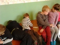 Zdjęcie: 31