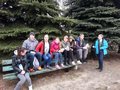 Zdjęcie: 14