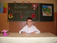 Zdjęcie: 11