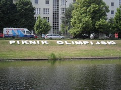 Zdjęcie: 25