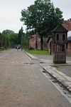 Zdjęcie: 7