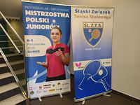 Zdjęcie: 1
