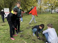 Zdjęcie: 10
