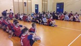 Zdjęcie: 2