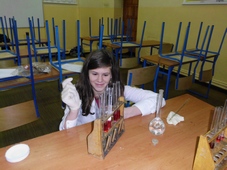 Zdjęcie: 4