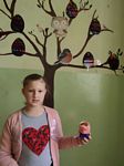Zdjęcie: 33