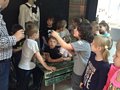 Zdjęcie: 49