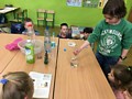 Zdjęcie: 12