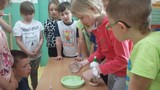 Zdjęcie: 14