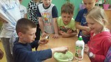Zdjęcie: 15