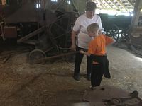 Zdjęcie: 93