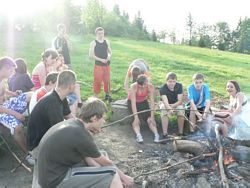 Zdjęcie: 20