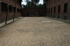 Zdjęcie: 14
