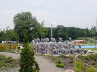 Zdjęcie: 15
