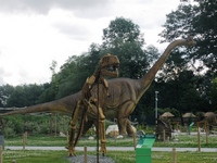 Zdjęcie: 36