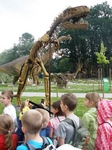 Zdjęcie: 38