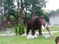 Zdjęcie: 40