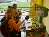 Zdjęcie: 48
