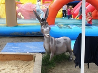 Zdjęcie: 9