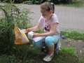 Zdjęcie: 11