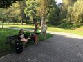 Zdjęcie: 7