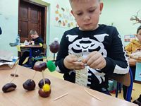 Zdjęcie: 18
