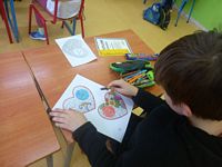 Zdjęcie: 7