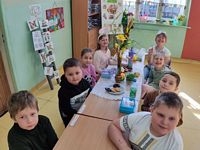Zdjęcie: 16