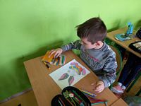 Zdjęcie: 31