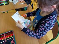 Zdjęcie: 34