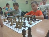 Zdjęcie: 12