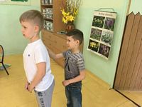 Zdjęcie: 28