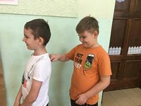 Zdjęcie: 31