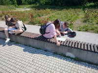 Zdjęcie: 14